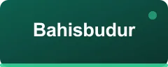 Bahisbudur logo