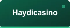 Haydicasino logo