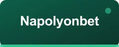 Napolyonbet logo