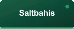 Saltbahis logo